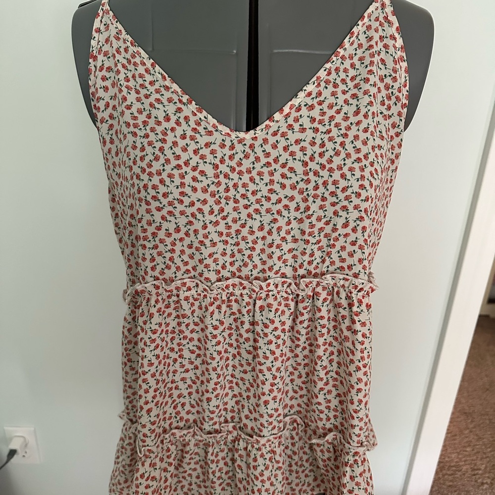 Sienna Sky Cream and Red Floral Dress